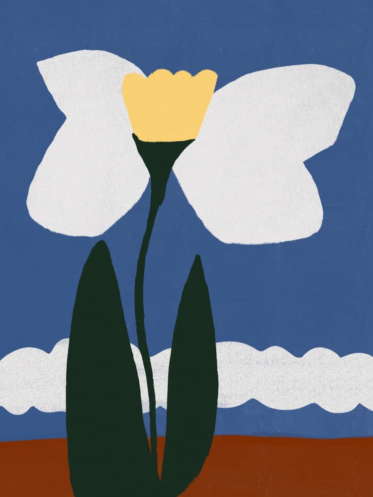 White Abstract Flower by Little Dean — canvas wall art