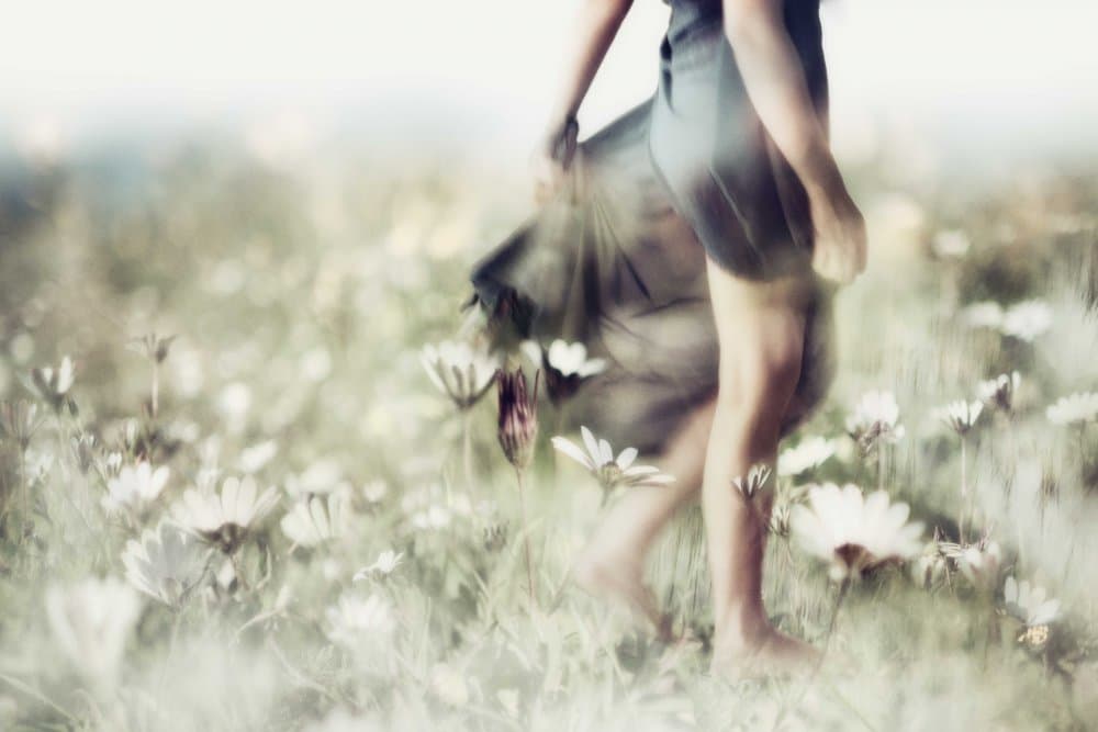 Dreamy Walk In Flowers by Charlaine Gerber — canvas wall art