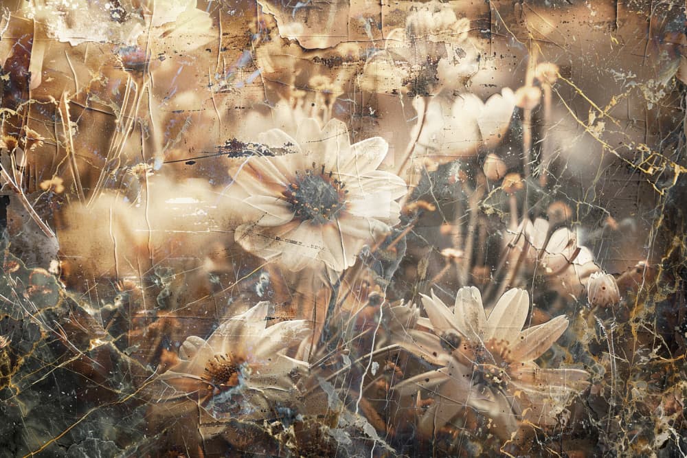 Vintage Daisy Field by Rafal Kulik — canvas wall art