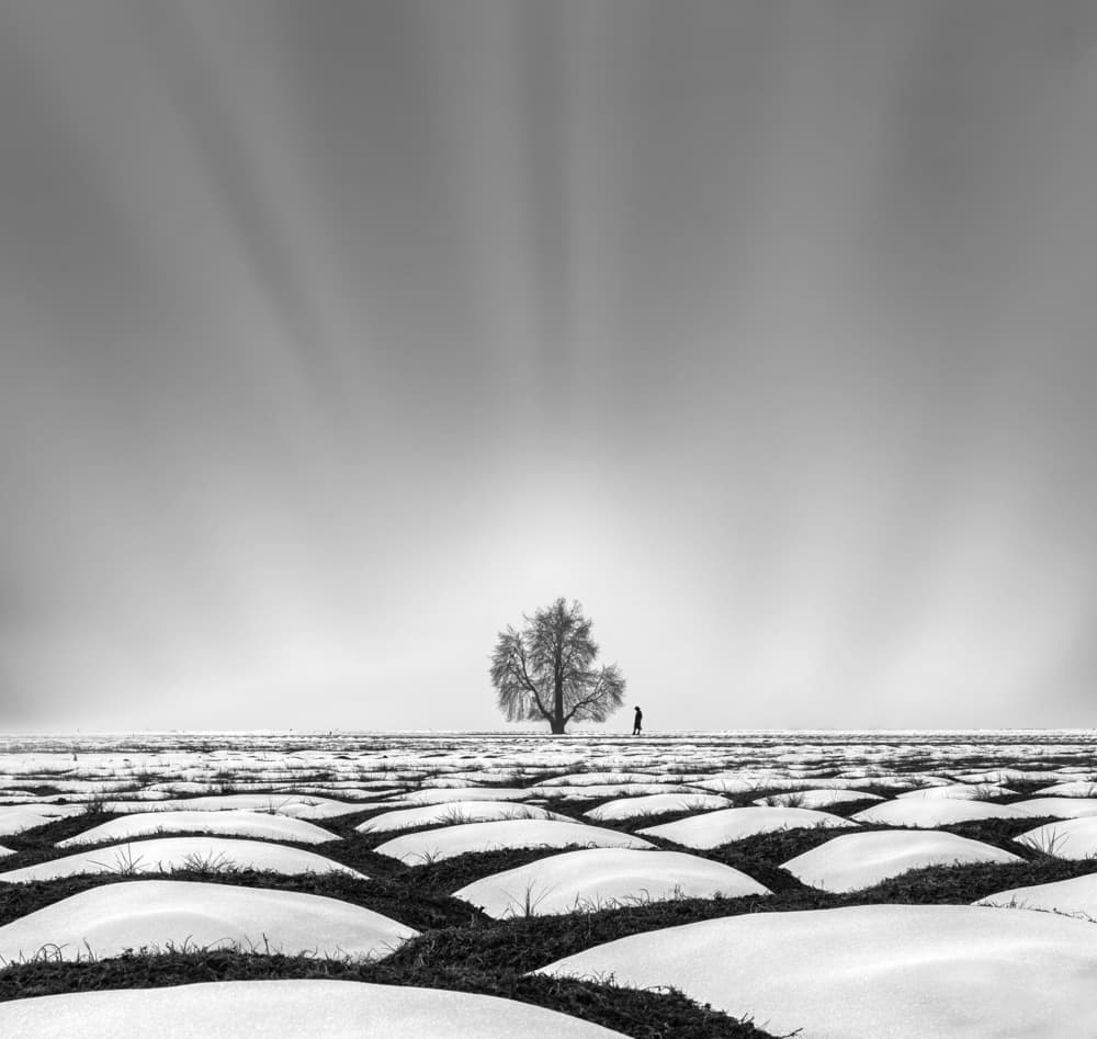 Winter Solitude Light by Jassi Oberai — canvas wall art