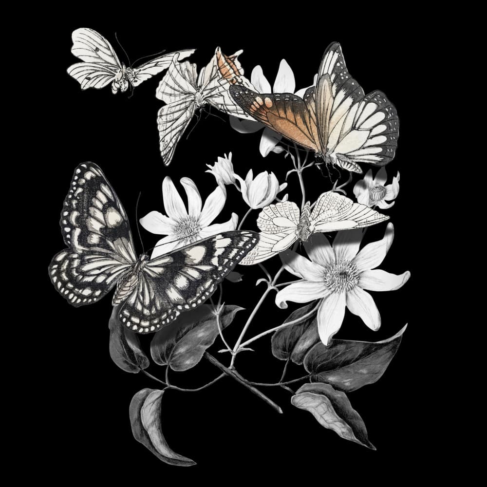 Elegant Botanical Butterflies by Marja van den Hurk — canvas wall art
