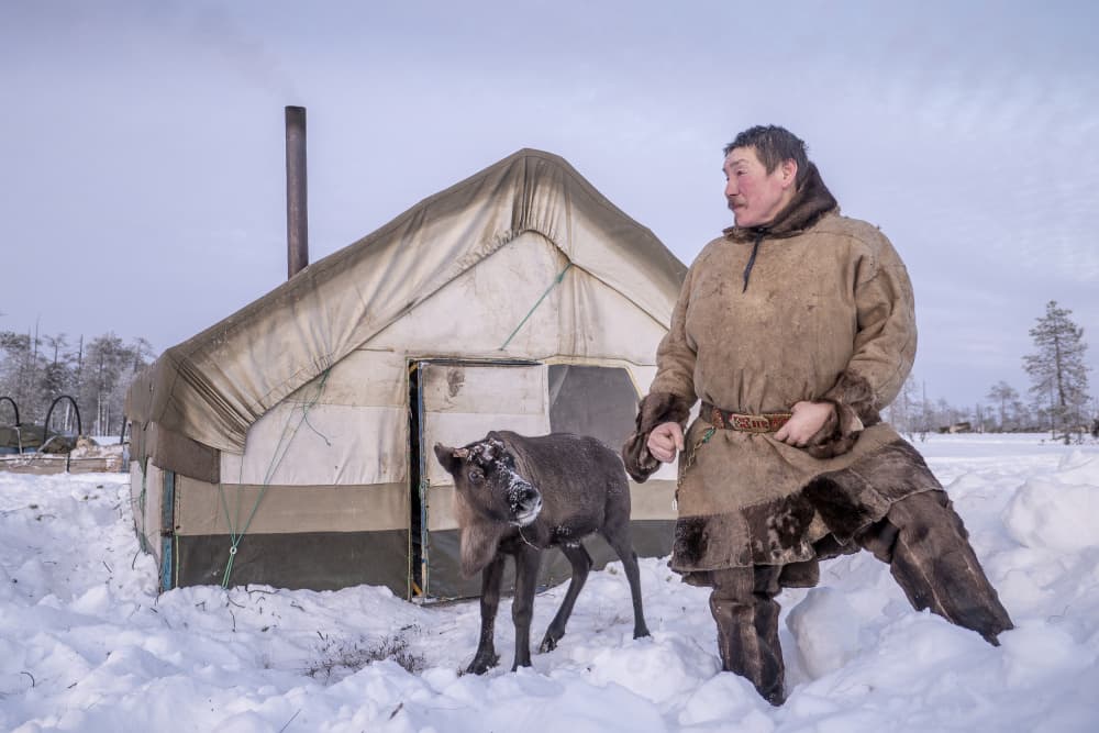 Arctic Man and Reindeer by Marcel Rebro — canvas wall art