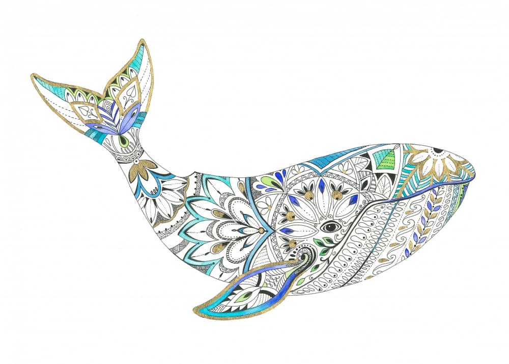 Whale Delicate Tints by Isabelle Brent — canvas wall art