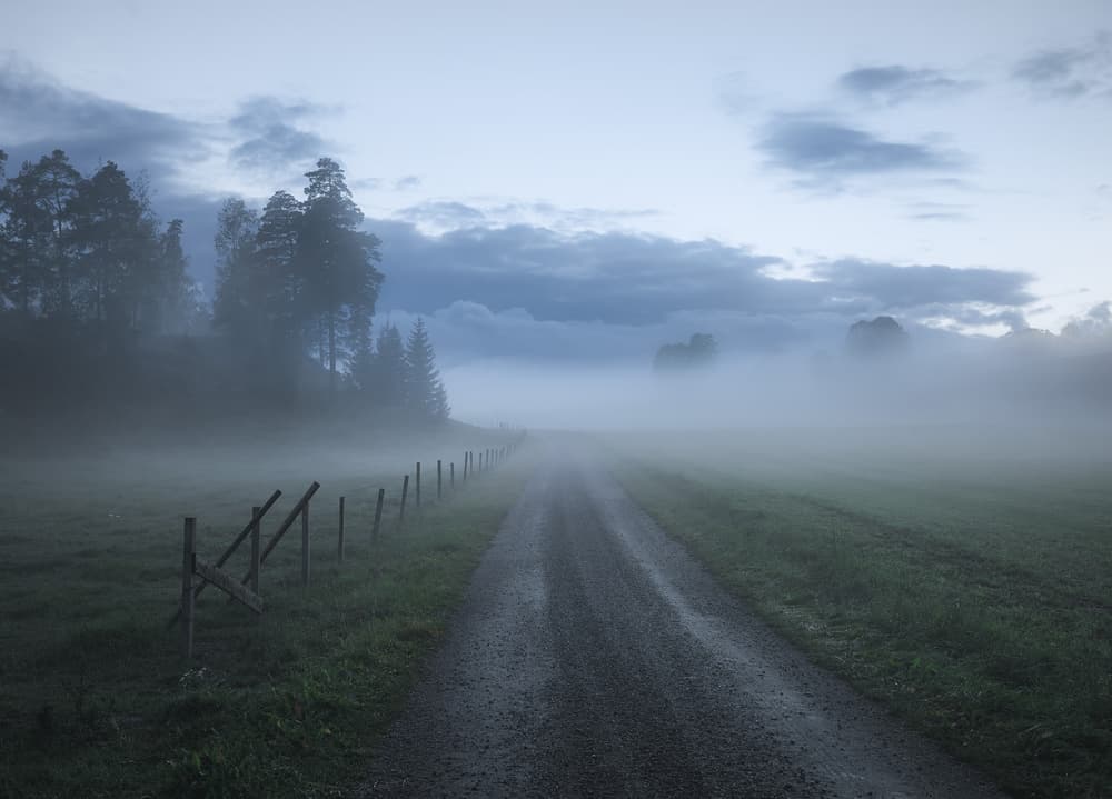 Misty Morning Road by Christian Lindsten — canvas wall art