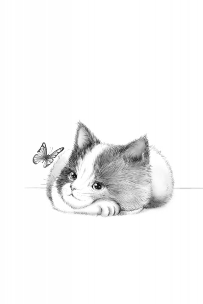 Curious Kitten And Butterfly by Xuan Thai — canvas wall art