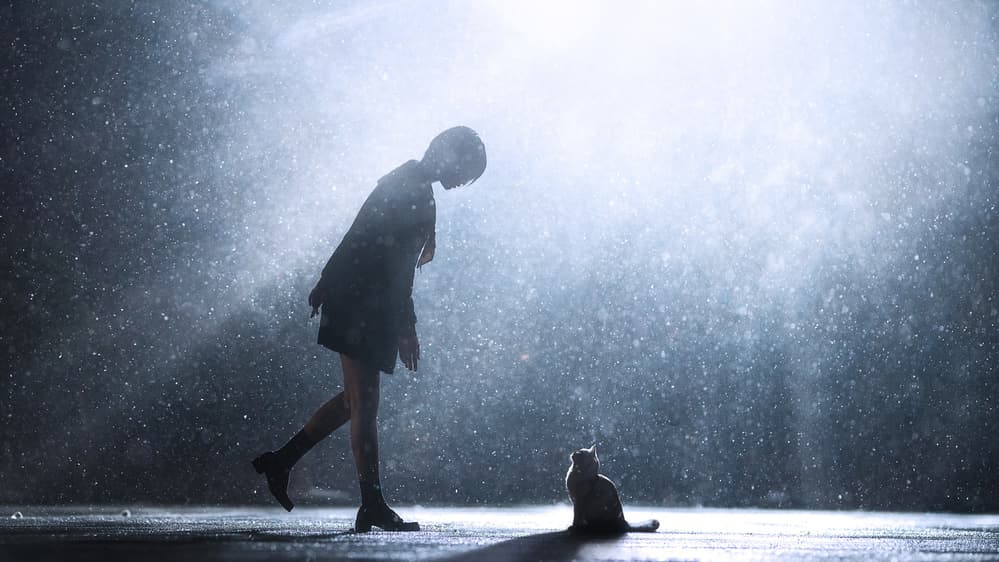 Rainy Night Silhouettes by Terry F — canvas wall art