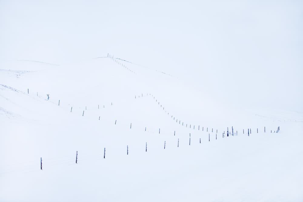 Winter Fence Line by Peter Svoboda MQEP — canvas wall art