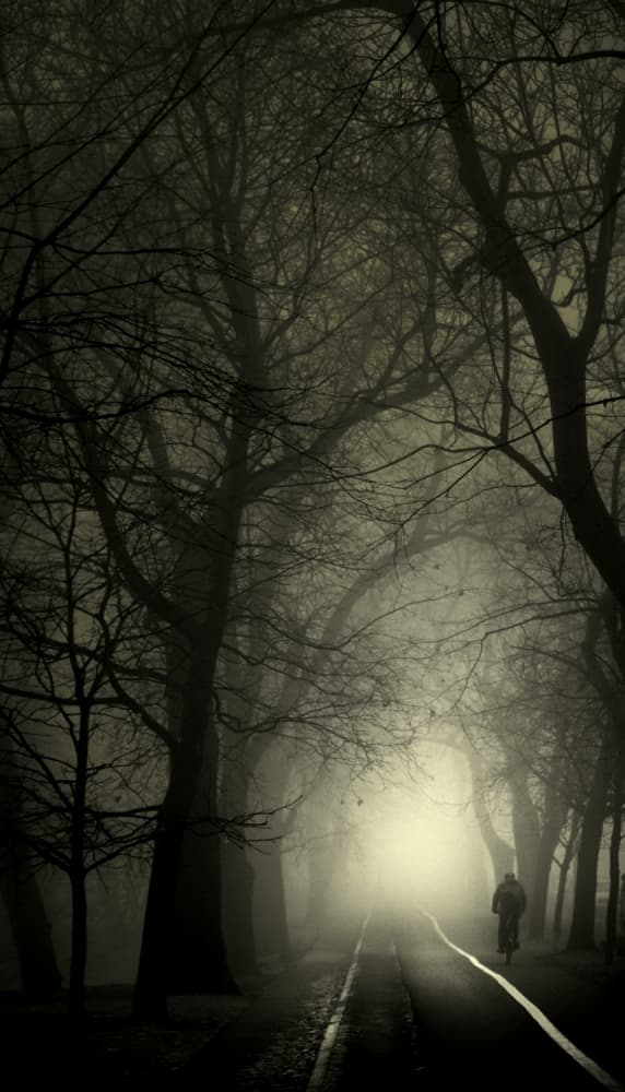 Misty Path Lone Cyclist by David Senechal Photographie (polydactyle) — canvas wall art