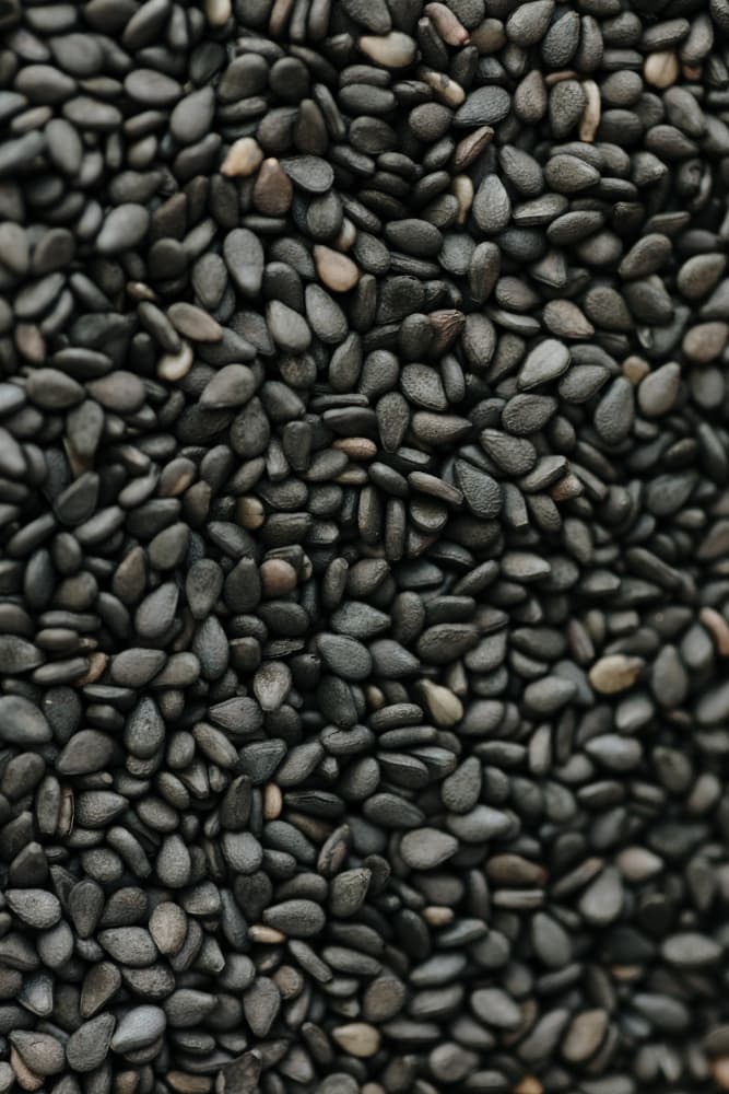 Rich Black Sesame by Javier Pardina — canvas wall art