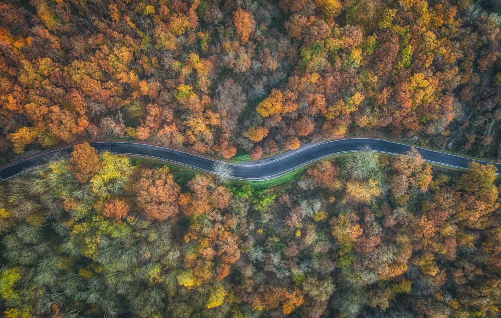 Winding Autumn Road by Guy Krier — canvas wall art