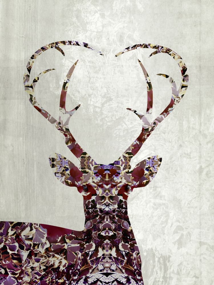 Heart Antlers Stag by Angelo Cerantola — canvas wall art