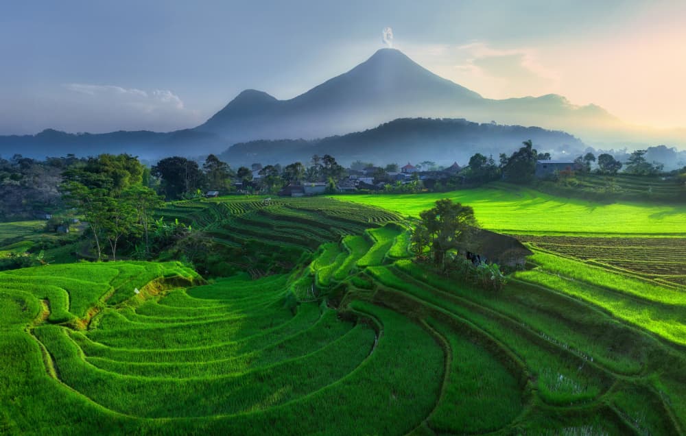 Misty Mountain Rice Terraces by ANNA AN — canvas wall art