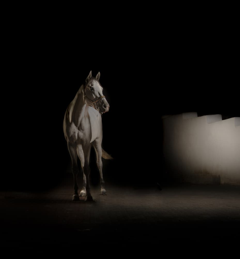 Dramatic White Horse by Yomn Almonla πΈπ¦ β canvas wall art