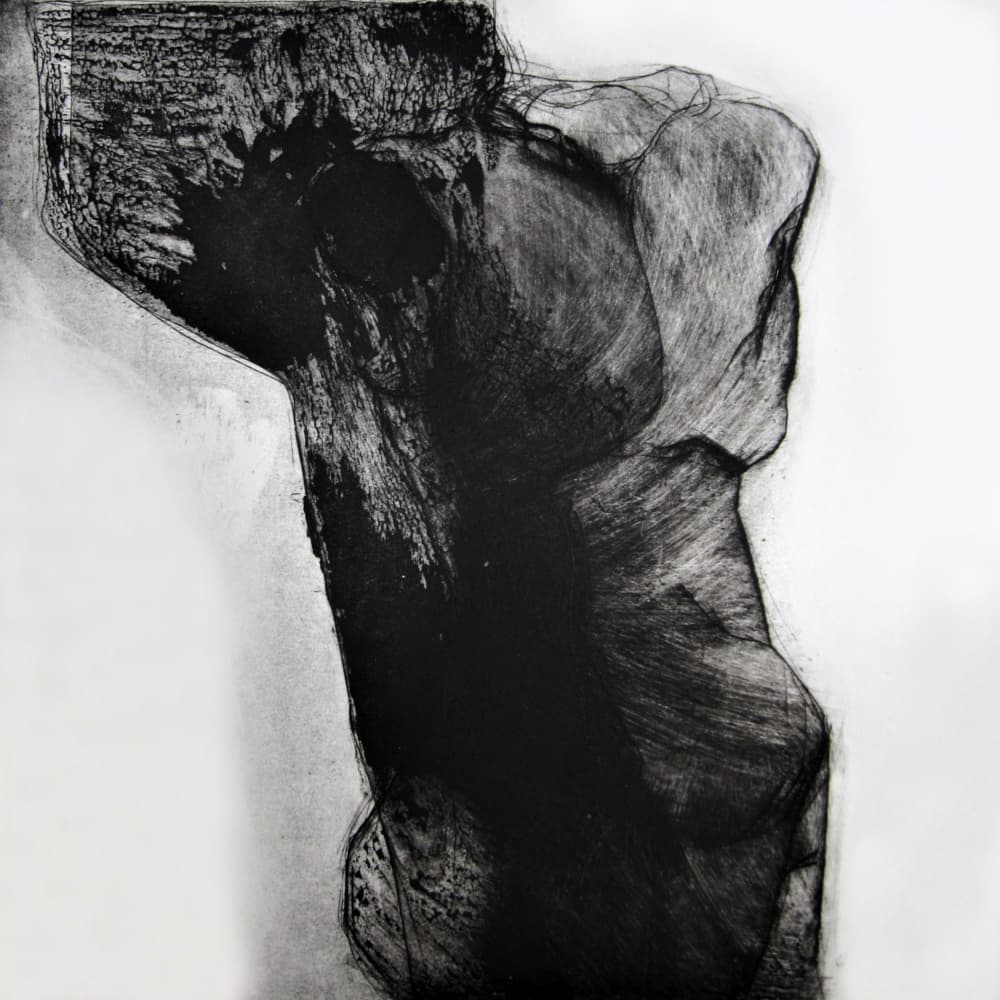 Dark Abstract Form by Doris Schmitz — canvas wall art