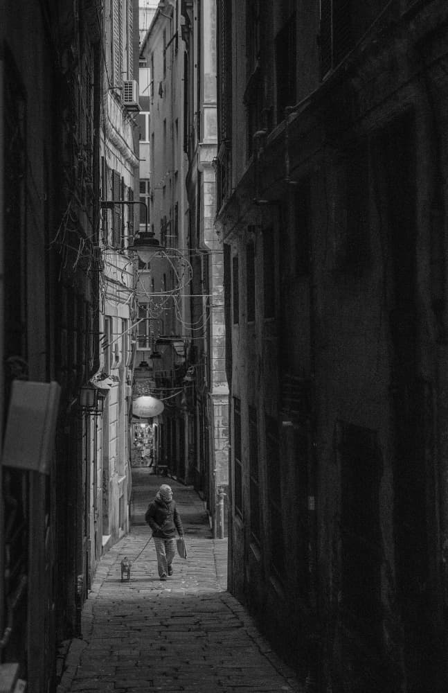 Solitary Alley Dog Walk by C.S. Tjandra — canvas wall art