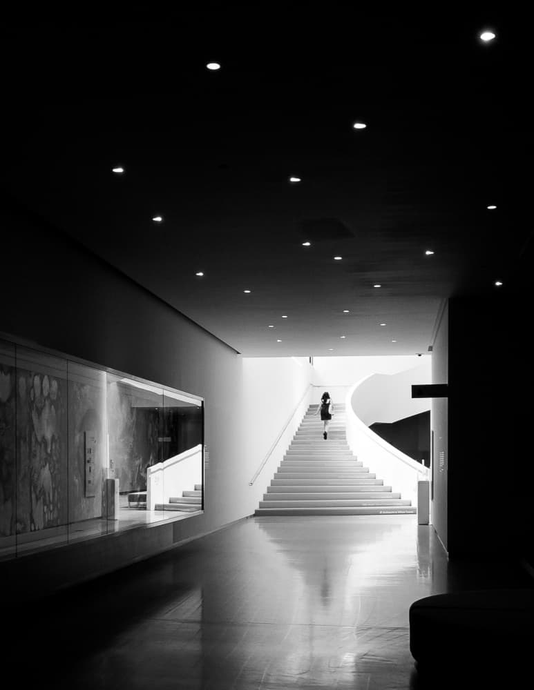 Woman Ascending Grand Staircase by Michiko Ôtomo — canvas wall art