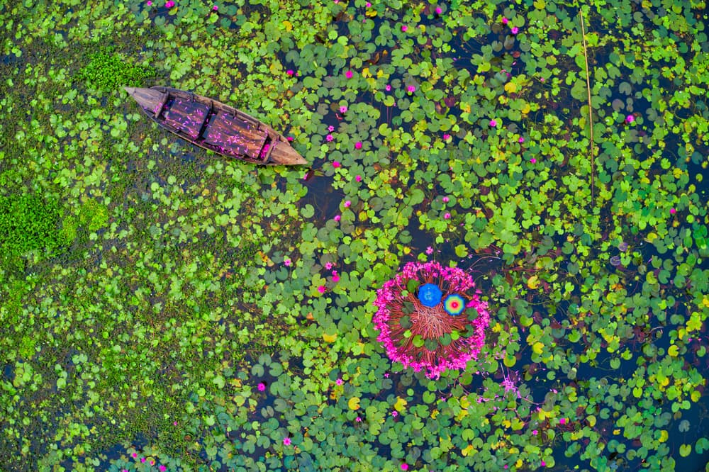 Aerial Lotus Boat by Azim Khan Ronnie — canvas wall art