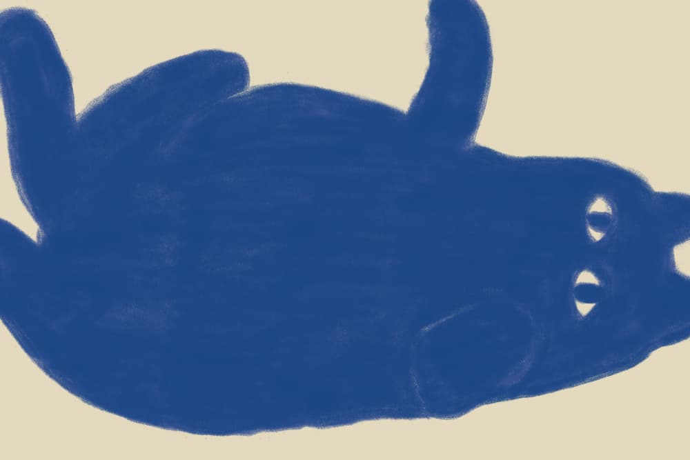 Whimsical Blue Animal by The Art Concept — canvas wall art