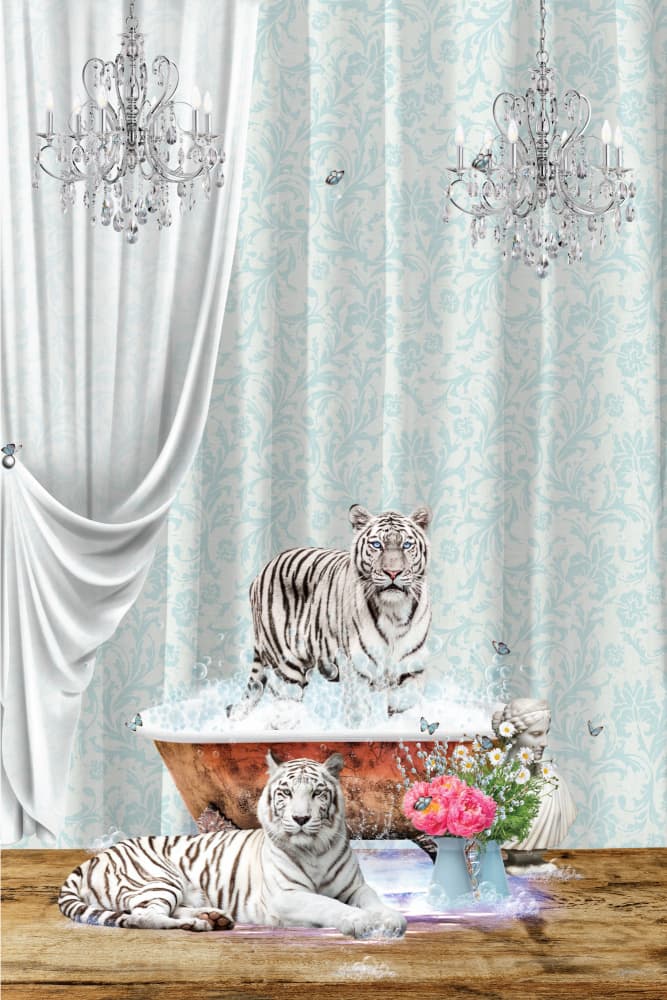 Elegant White Tiger Bath by Sue Skellern — canvas wall art