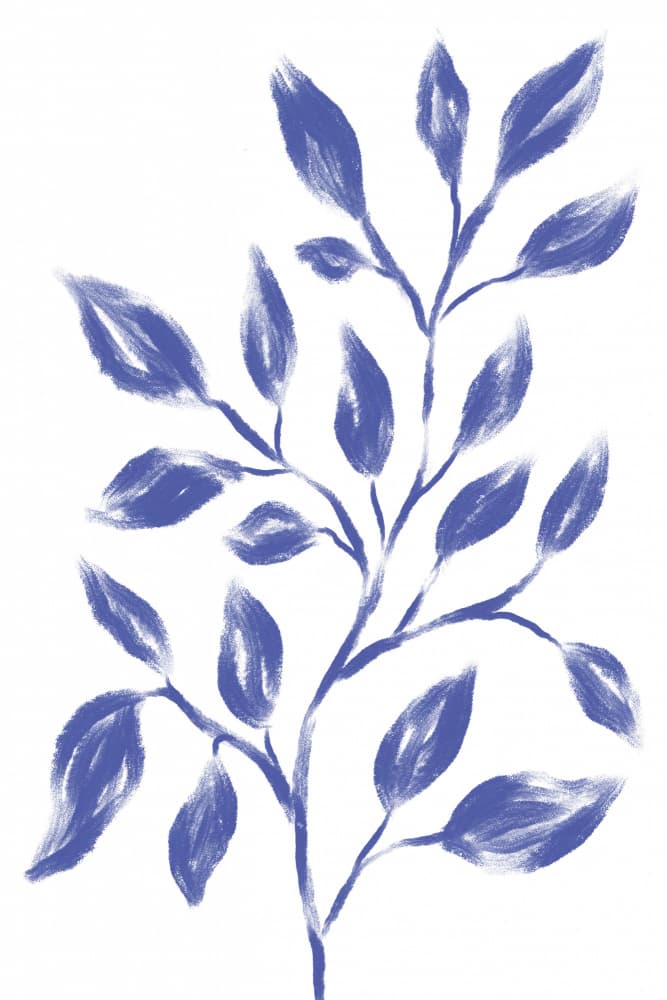 Blue Botanical Branch by Martina — canvas wall art