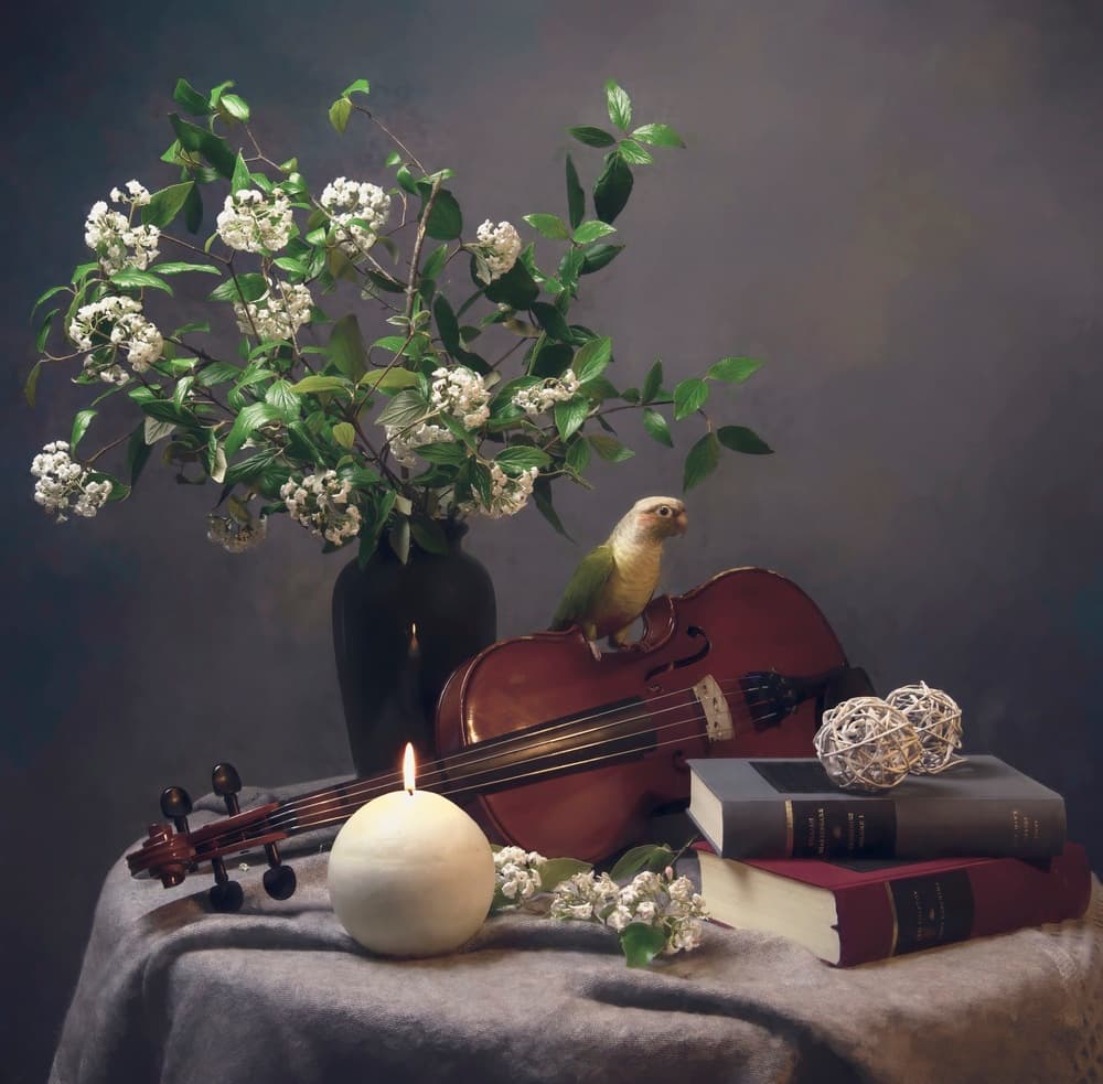 Candlelit Bird Still Life by Catherine Wang — canvas wall art