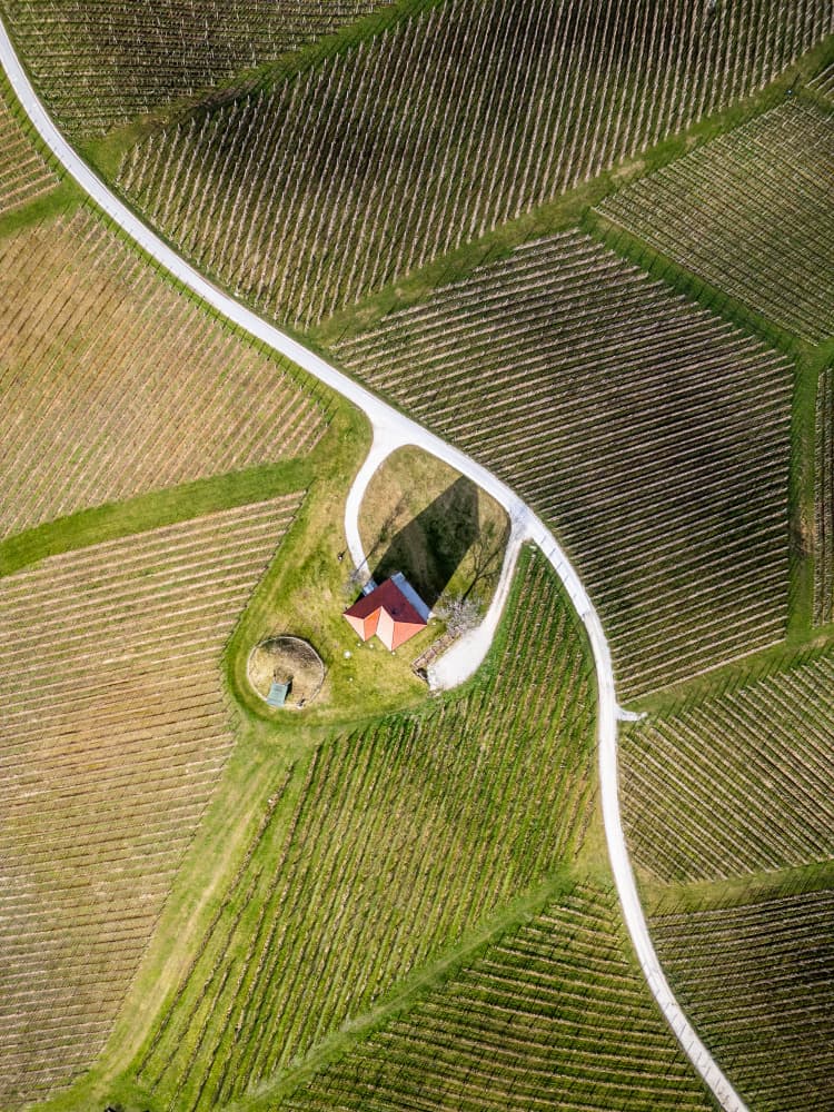 Winding Road Through Vineyards by Joško Šimic — canvas wall art