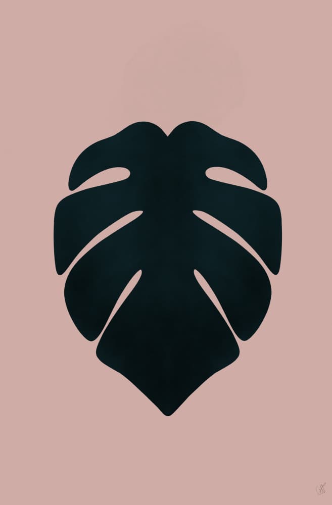 Blush Pink Monstera by Anne-Marie Volfova — canvas wall art