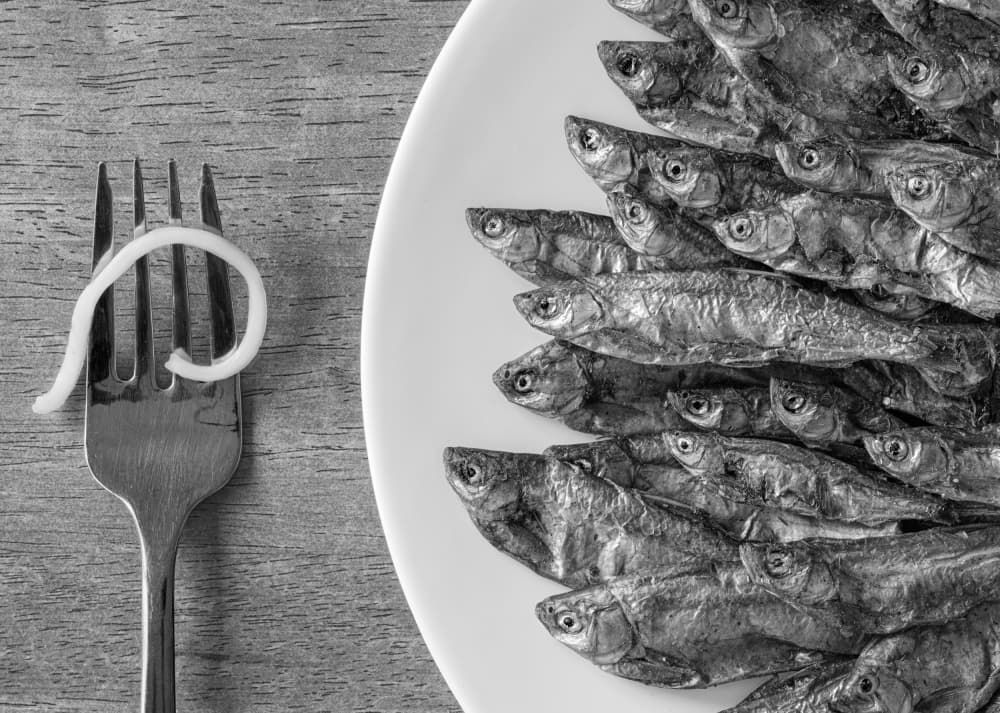 Many Fish One Noodle by Gary Perlow — canvas wall art