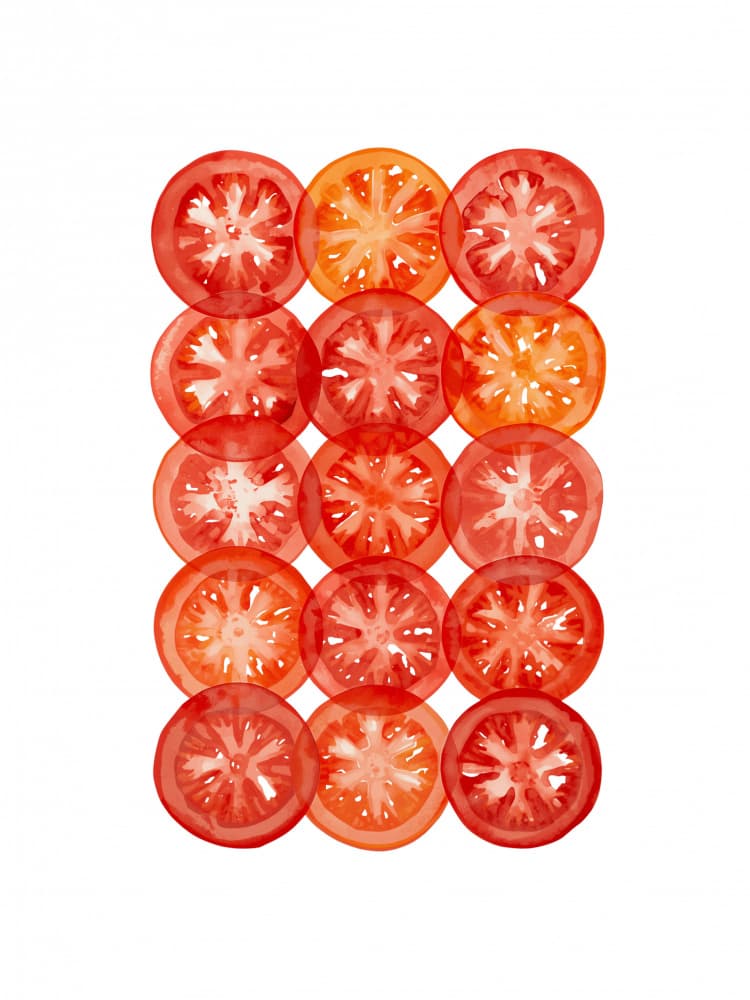Fresh Tomato Slices by Ohkimiko — canvas wall art