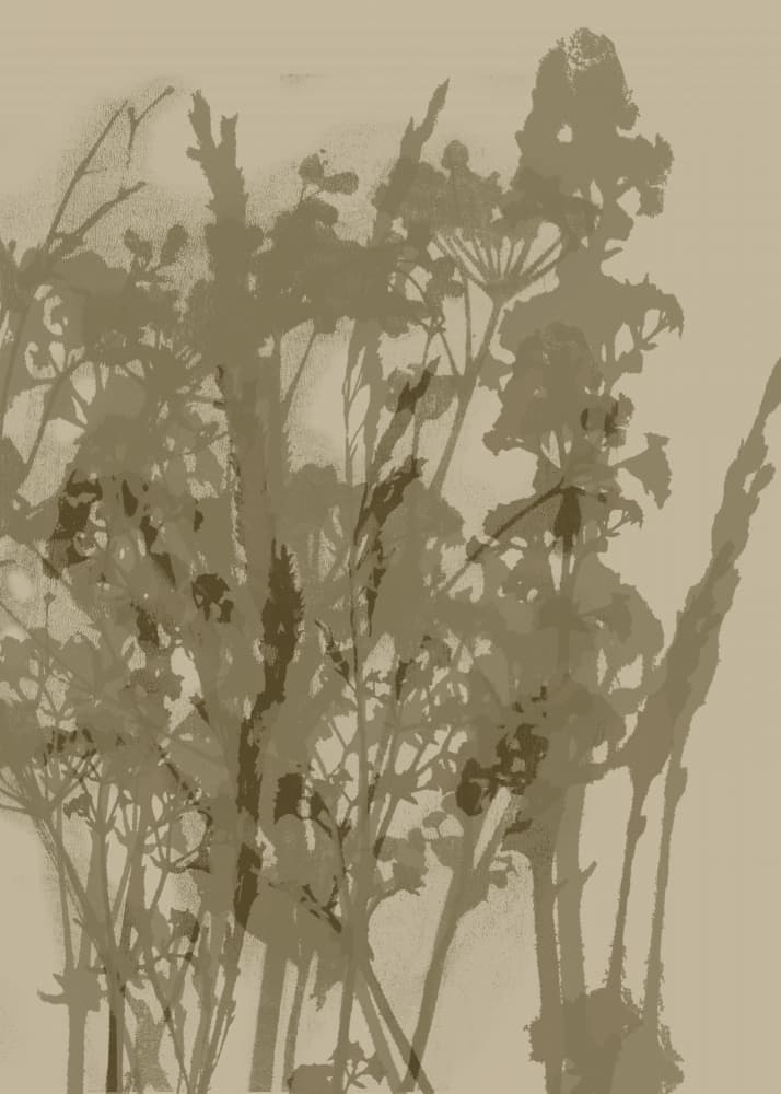 Botanical Silhouettes by Dina Dankers — canvas wall art