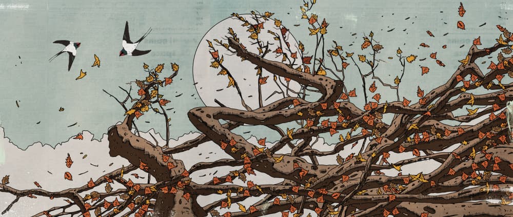 Moonlit Autumn Flight by Nicholas — canvas wall art