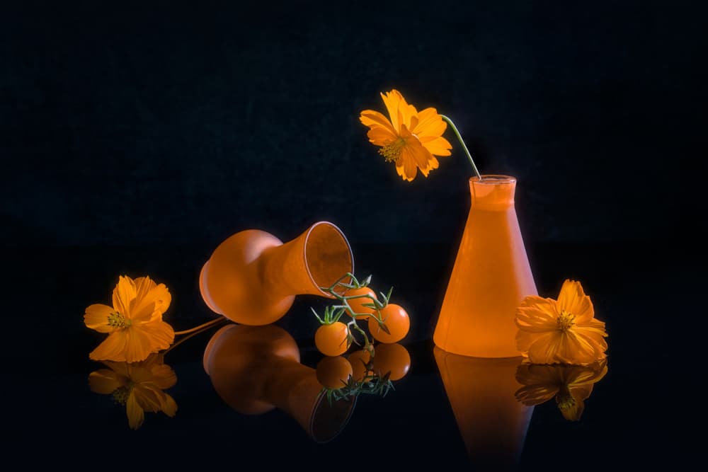 Vibrant Orange Still Life by Lydia Jacobs — canvas wall art