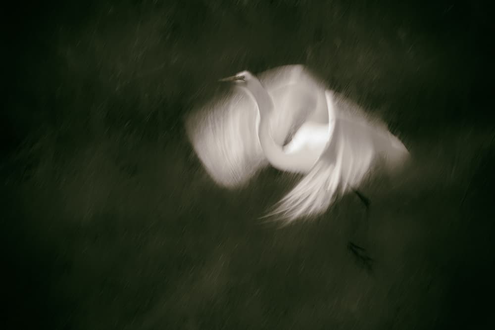 Landing by Aidong Ning — canvas wall art