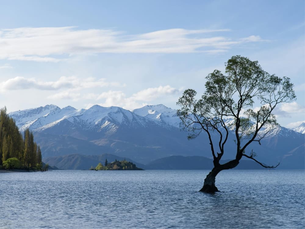 Wanaka Tree Lake Mountains by Mathieu jeuf — canvas wall art