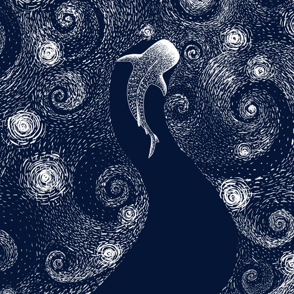 Whale Shark Starry Ocean by Alirıza ÇAKIR — canvas wall art