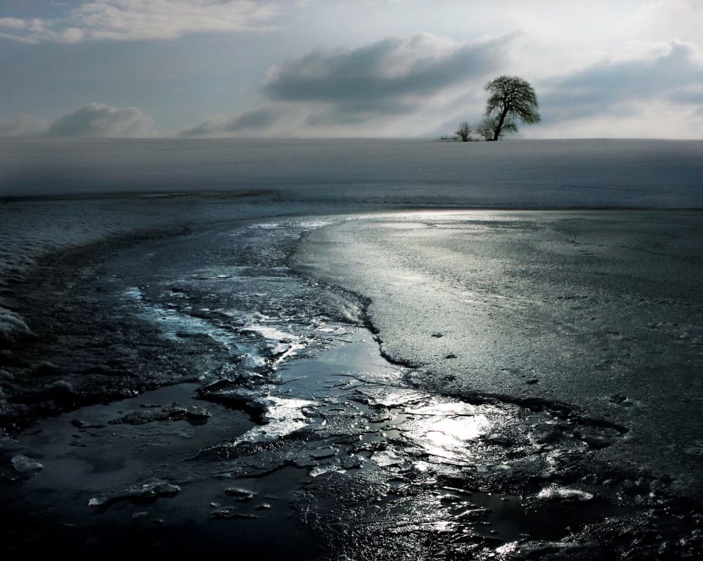 Frozen Lake Lone Tree by Irma Warth — canvas wall art