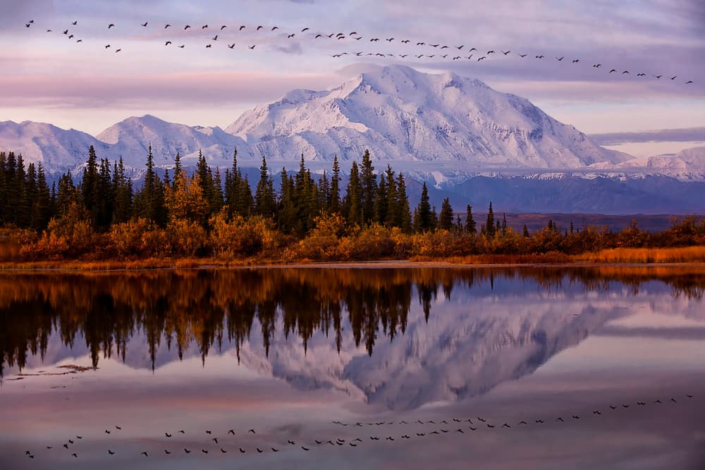 Majestic Mountain Reflection by Michael Zheng — canvas wall art