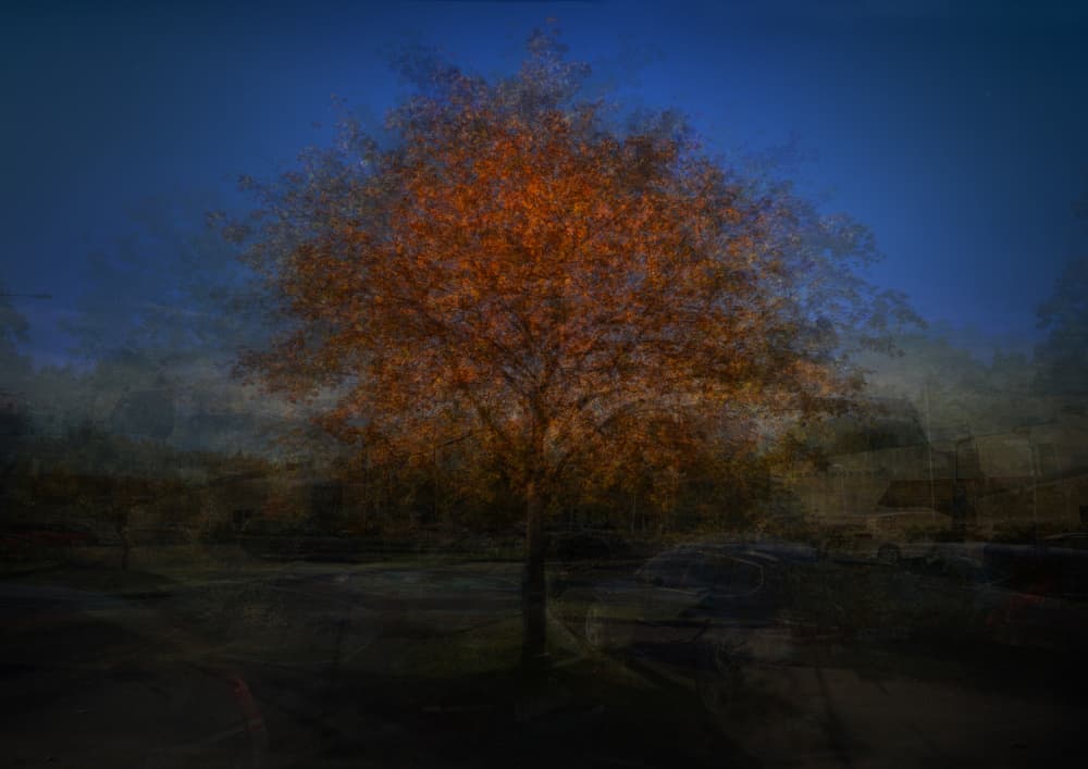 Blurred Autumn Radiance by Katarina Holmström — canvas wall art