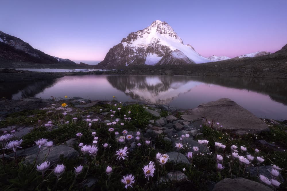 Twilight Mountain Lake Flowers by Damon Hao — canvas wall art