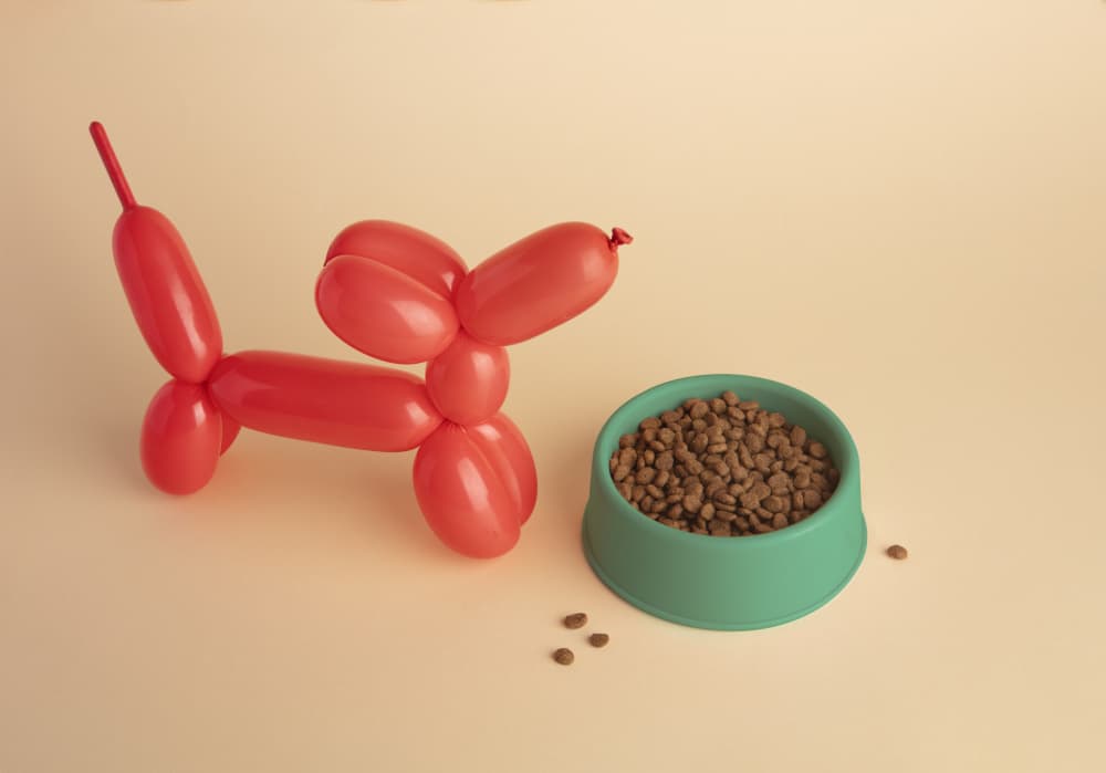 Playful Balloon Dog Meal by Julia Ramiro — canvas wall art