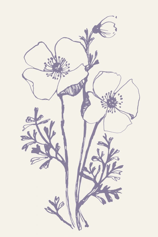 Delicate Purple Blooms by Rosana Laiz Blursbyai — canvas wall art