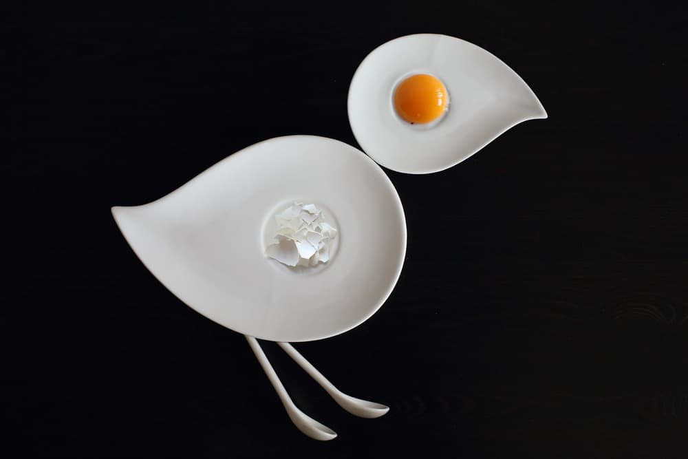 Elegant Bird Breakfast by Victoria Glinka — canvas wall art