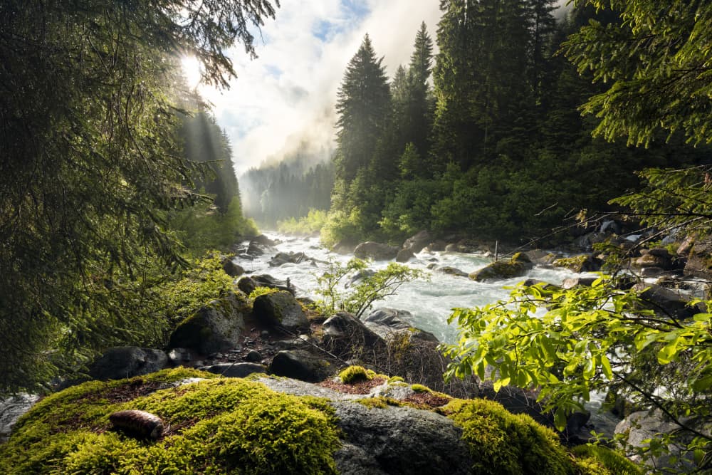 Spring Break by Stefan Hefele — canvas wall art