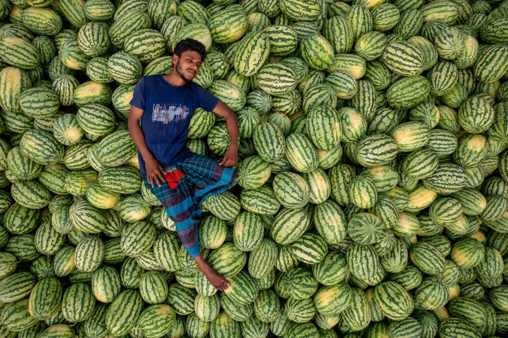 Man Among Watermelons by Azim Khan Ronnie — canvas wall art