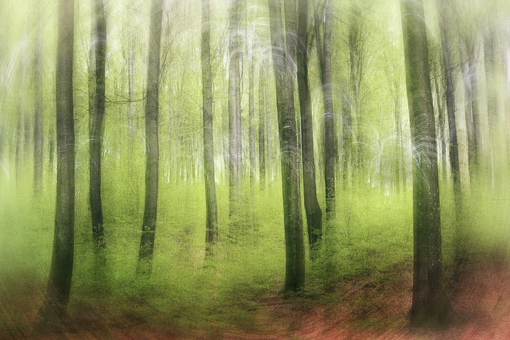 Spring Impression by Gustav Davidsson — canvas wall art