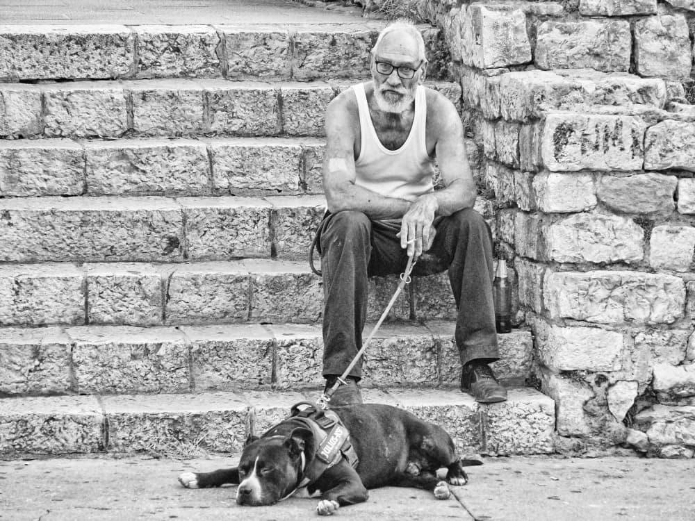 Old Man's Best Friend by Marko Buntic — canvas wall art
