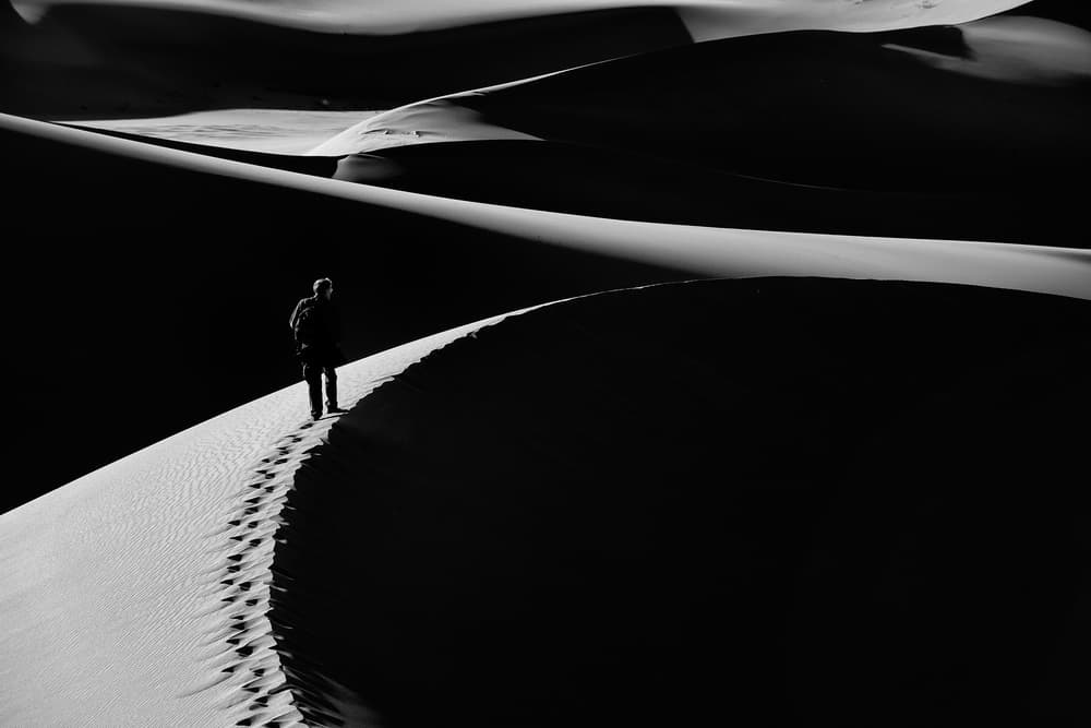 Solitary Desert Journey by Jure Kravanja — canvas wall art