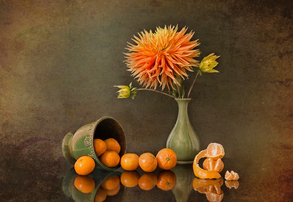 Autumn Dahlia and Tangerines by Lydia Jacobs — canvas wall art