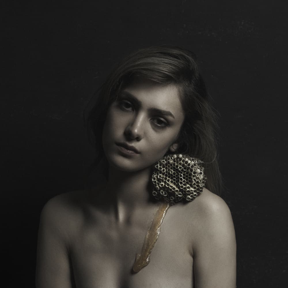 Dark Honeycomb Portrait by Hooman Sedaghi — canvas wall art