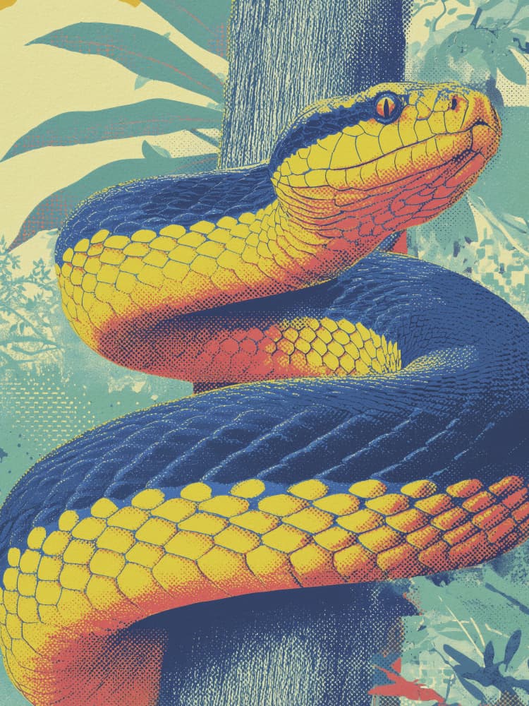Vibrant Jungle Viper by Andreas Magnusson — canvas wall art